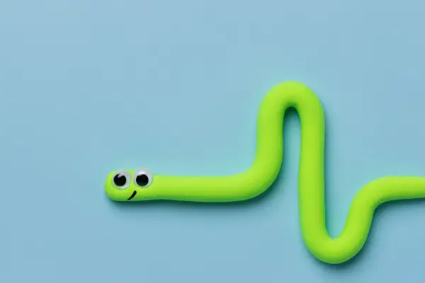 کرم کامپیوتری - worm